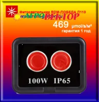 RDM-ПОБЕДА П 110