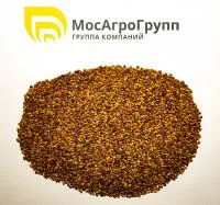 Семена клевера лугового красного Марс
